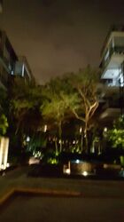 Terrene At Bukit Timah (D21), Condominium #460564231
